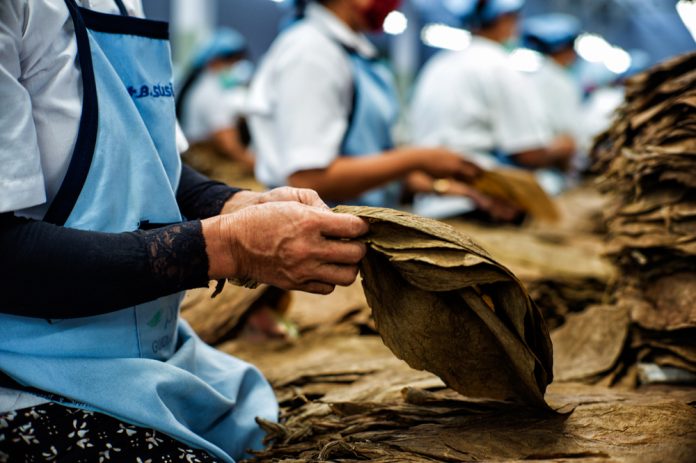 Hebat!!! Industri HPTL Sudah Manfaatkan Limbah Tembakau
