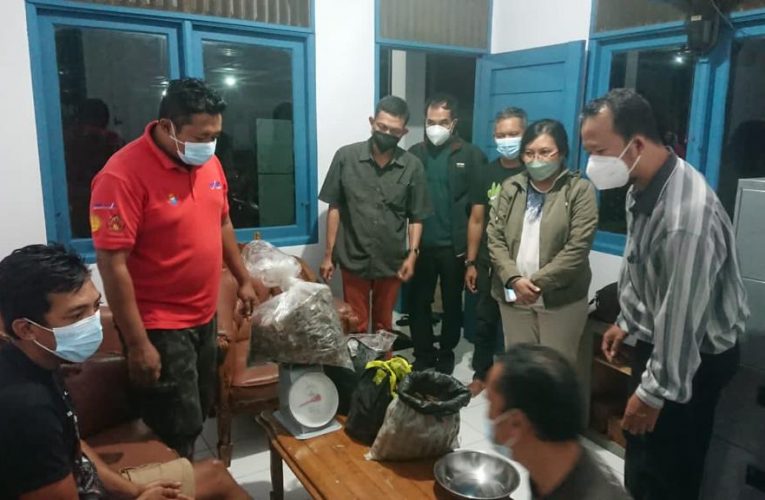 Ditjen Gakkum KLHK Tangkap Pedagang Sisik Trenggiling di Sekadau Kalimantan Barat