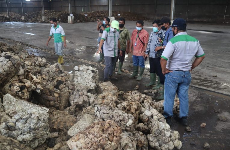 Tingkatkan Kualitas, PT MKC Teken Nota Kesepahaman dengan Tiga UPPB di Kaltim