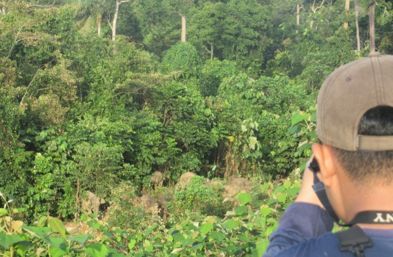 PT RLU Tingkatkan Upaya Perlindungan Satwa Liar Langka