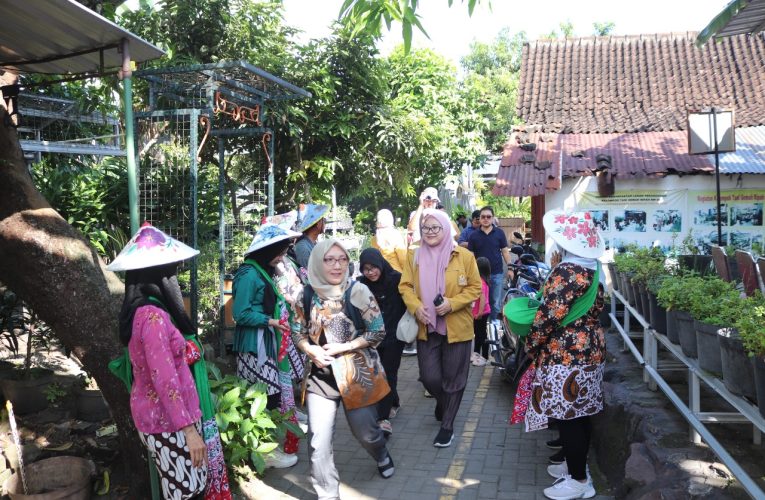 Tim Kegiatan Riset Dasar Unsoed Purwokerto Berkunjung ke Kampung Sayur Bausasran Yogyakarta